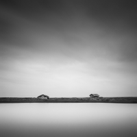 Dissident | 2015