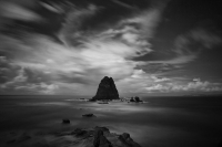 Mono | 2010