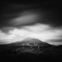 Mt. Puji | 2013