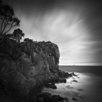Papuma | 2012