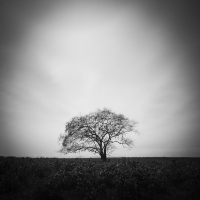 Rythm of Life | 2011