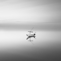 Stillness | 2012